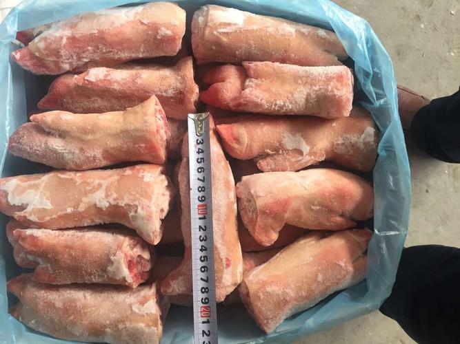 冷冻 猪蹄 194厂猪手 一手货源 生鲜肉 价格低廉 冷冻猪肉 冷冻猪蹄