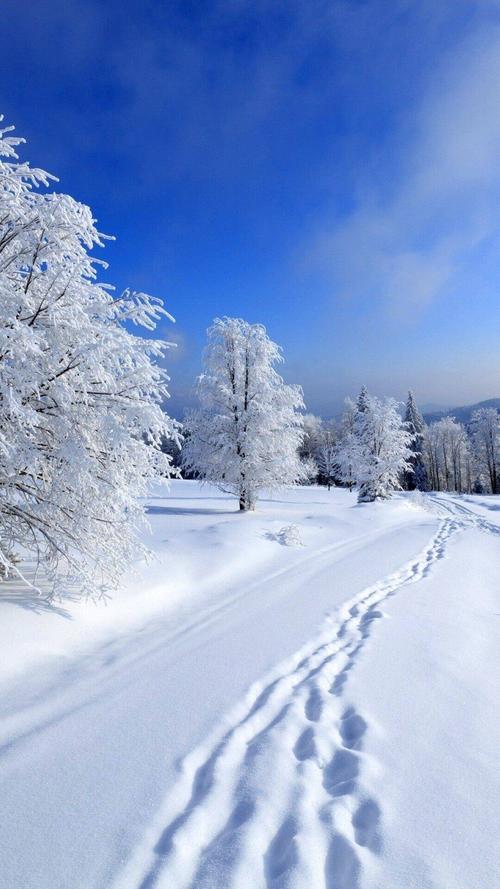 唯美雪景,冬季冰雪,冬天雪景,白雪,下雪,唯美风景,手机壁纸雪