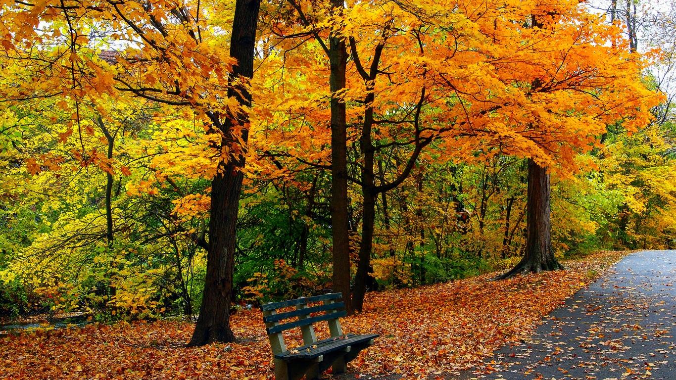 唯美秋天自然风景桌面壁纸 第二辑