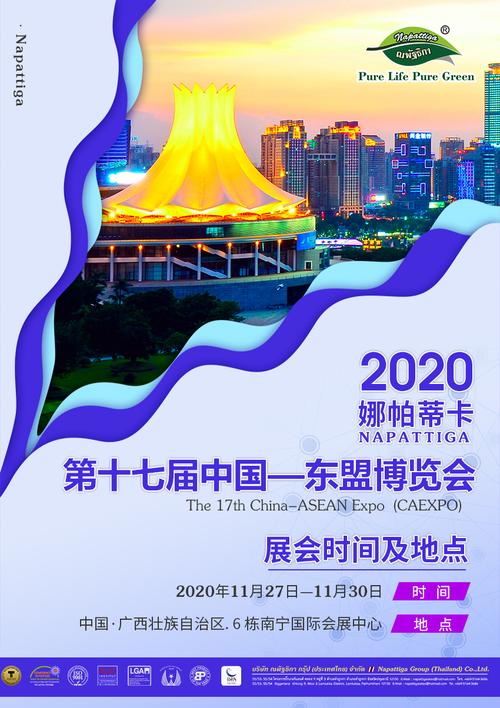 napattiga受邀参加2020第十七届中国—东盟博览会