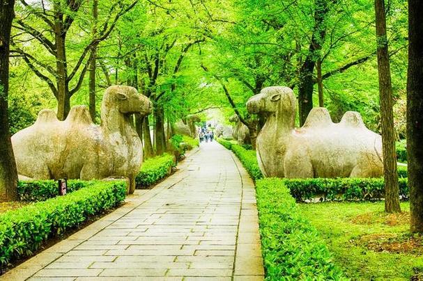 67南京旅游必去十大景点推荐,南京10个周边游好去处,你去过几个?