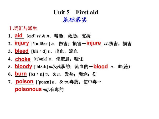 高考英语一轮复习 book5 unit 5 first aid