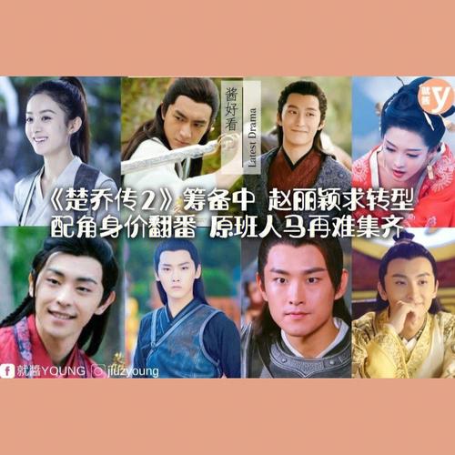 2017年由赵丽颖和林更新主演的古装剧《楚乔传》深受