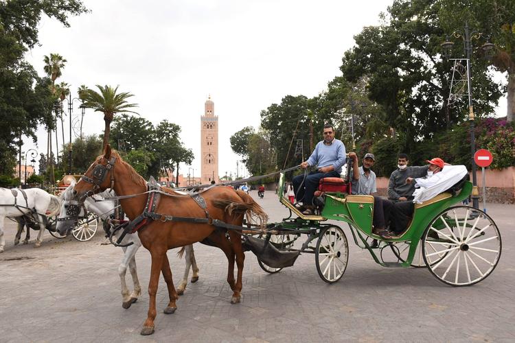 摩洛哥:疫情冲击下的马拉喀什旅游观光马车