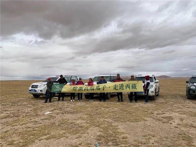 西藏自驾游车队