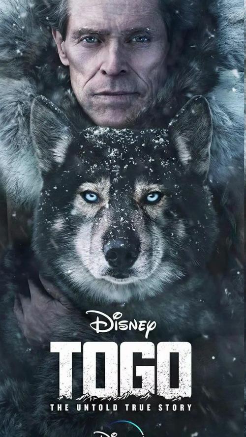 多哥一只雪橇犬拯救了全镇的孩子喜欢动物题材不要错误奥斯卡2019动物