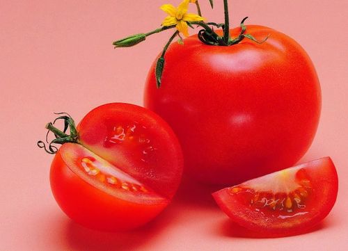 西红柿与什么食物相克