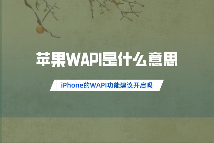 苹果wapi是什么意思iphone的wapi功能建议开启吗