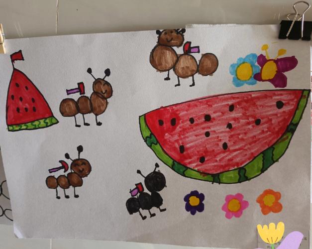 幼儿园美术教案蚂蚁搬西瓜