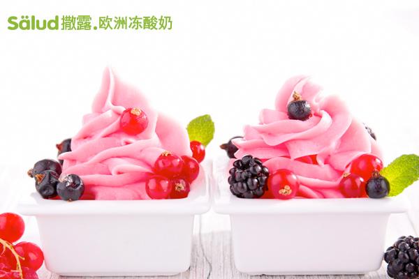 撒露冻酸奶产品图片