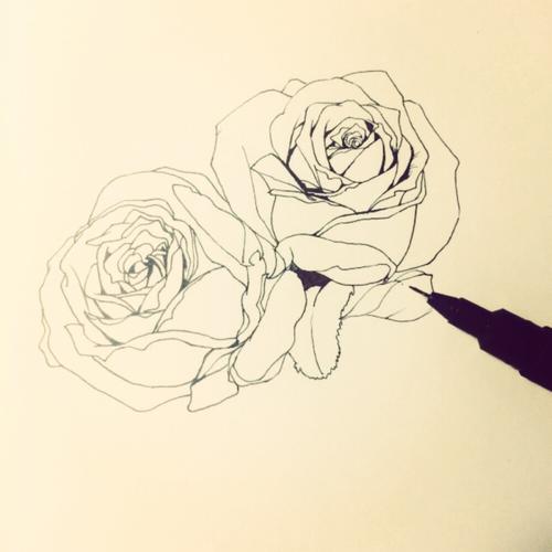 线描 插画 黑白 花朵 手绘》