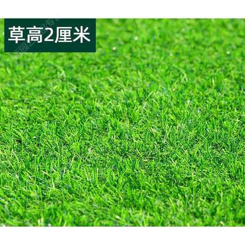 草坪地毯草真草坪垫子绿色假草人造草皮户外室内装饰人工塑料地