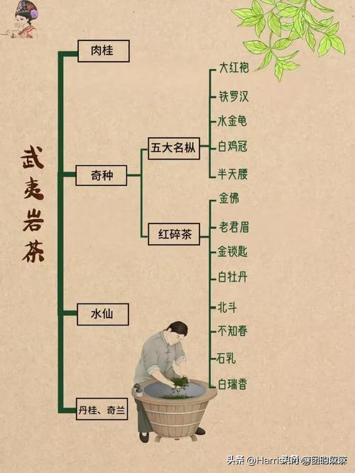 涨知识:中国10大名茶;6大茶类代表和历史