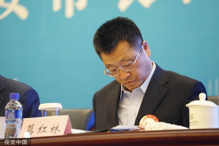 北京,出席中国市长协会活动的原中国铝业集团有限公司董事长葛红林