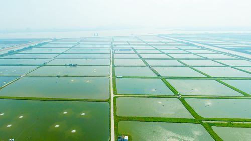 广州市诚一水产养殖有限公司
