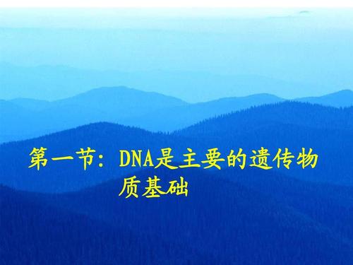 dna是主要的遗传物质dna结构复制13年
