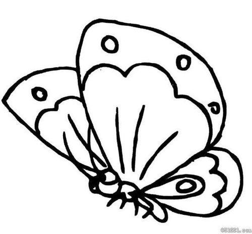 蝴蝶简笔画可爱图片