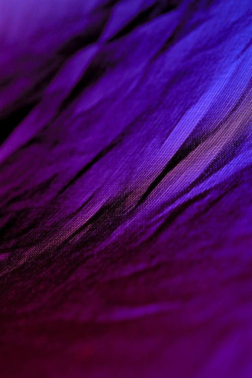 壁纸 紫色面料,质地 5120x2880 uhd 5k 高清壁纸, 图片, 照片