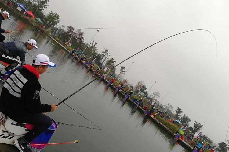 武汉竞技钓鱼比赛视频大全