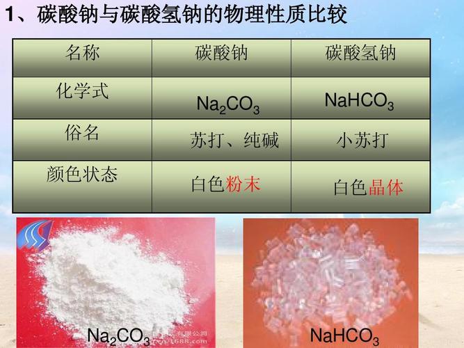 名称 化学式 碳酸钠 na2co3 苏打,纯碱 白色粉末 碳酸氢钠 nahco3 小