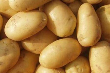 尿酸高可以吃土豆吗