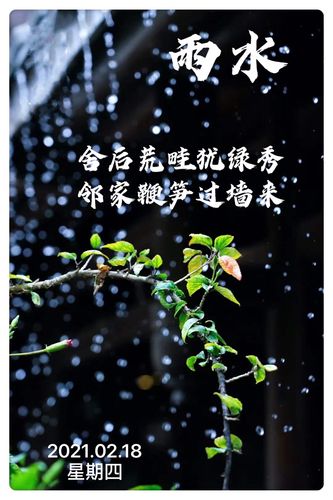 雨水节气:好雨知时节,当春乃发生.随风潜入夜,润物细无声.