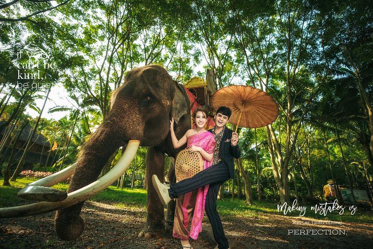 傣族园大象-西双版纳米兰国际高端婚纱摄影-114结婚网