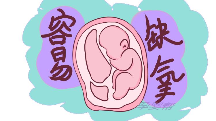 孕期平躺会导致胎儿缺氧?实际上,只有3类孕妇不适合这种睡姿