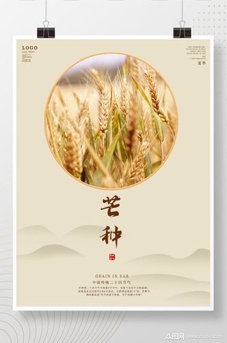 芒种海报二十四节气素材背景图片小麦