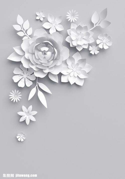 白色纸花立体白纸花朵植物花朵3d漂亮花朵花卉鲜花剪纸底纹背景