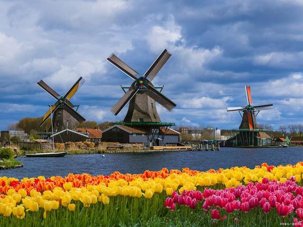 荷兰风车,这个被誉为荷兰国家象征的古老机械,不仅在能源利用和工业