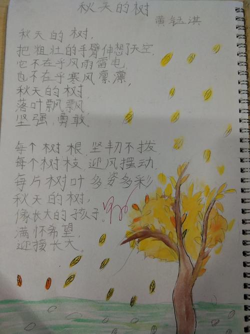 孩子们的晨诵诗——秋天的树