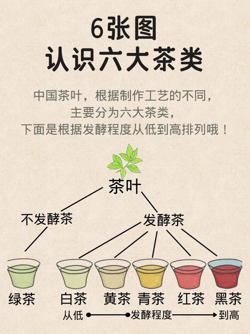 6张图学习六大茶类知识.#茶 #茶生活 #爱生活爱喝茶 #每 - 抖音