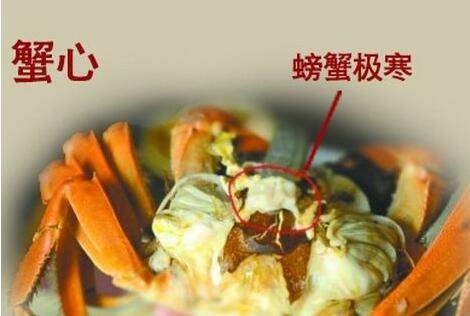 吃蟹季你一定要知道的吃蟹禁忌