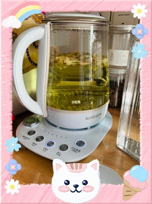 怎样煮菊花茶用什么器皿