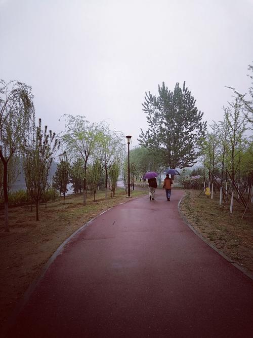 今天来到公园雨中漫步,尽情享受春雨带来惬意与安然,远处景色迷迷蒙蒙