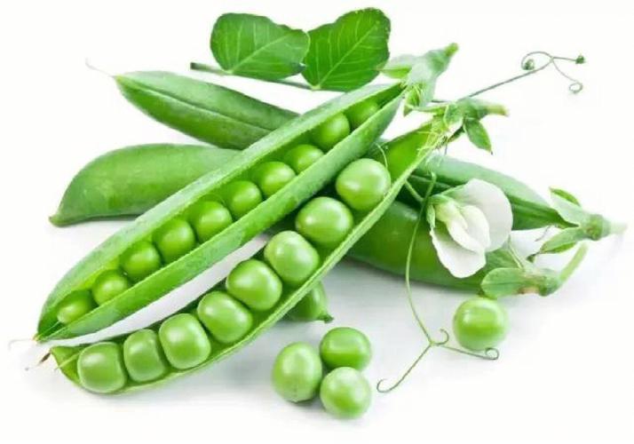 豌豆的营养价值及功效有以下几点,提高机体免疫功能:有丰富的植物蛋白