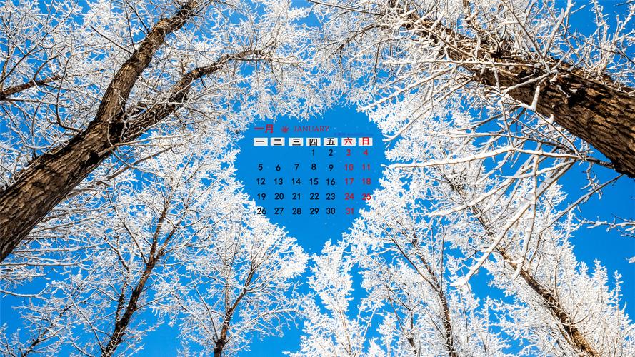 2015年1月日历壁纸蓝天下的唯美浪漫雪景高清素材图片免费下载