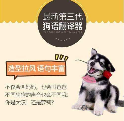 狗语翻译器第五代狗狗翻译器狗语 通用狗语翻译器 通用狗语翻.