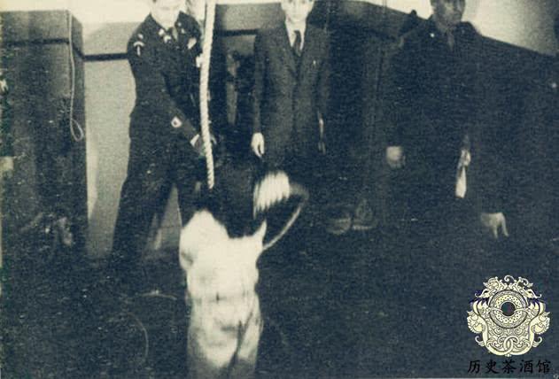 直击南京大屠杀主犯松井石根处决现场,绞刑架上挣扎12分30秒