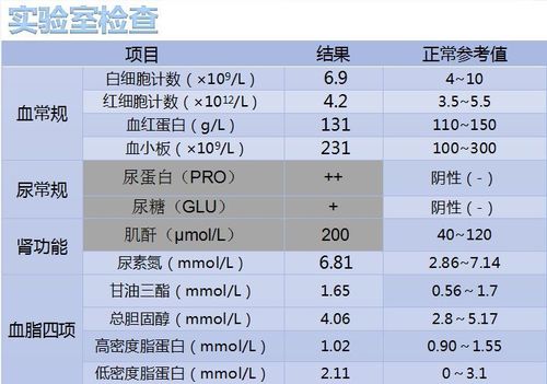 尿白蛋白肌酐比值(acr)328mg/g,24h尿蛋白定量(utp)1500mg/24h,空腹