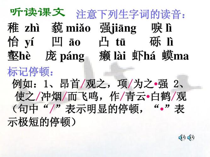 听读课文 注意下列生字词的读音: 稚 zhì 藐 miǎo 强jiāng 唳