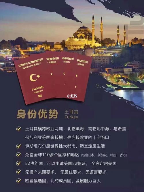 土耳其身份免签110多个国家和地区