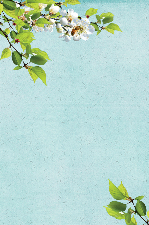 小清新花卉海报背景