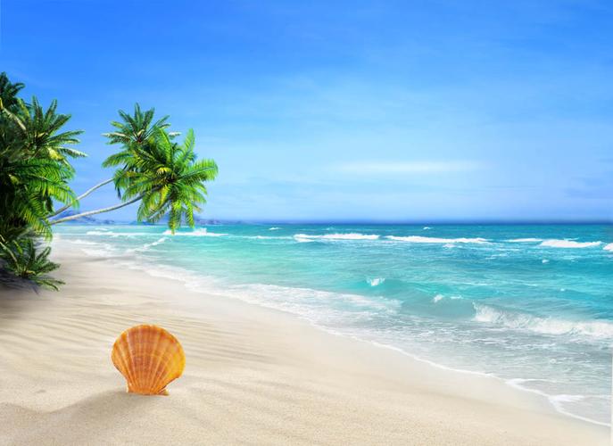 贝壳海星海螺沙滩夏日海滩夏日元素夏季主题大海图片风景图片图片素材
