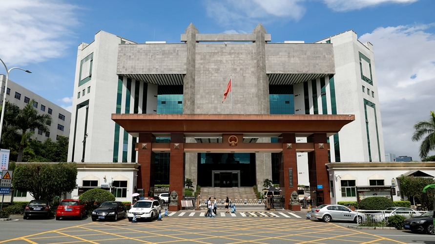 龙岗区和大鹏新区,是深圳市司法管辖面积最大,人民法庭最多的基层法院