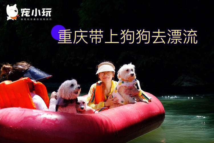 重庆宠物旅行团带上狗狗去漂流