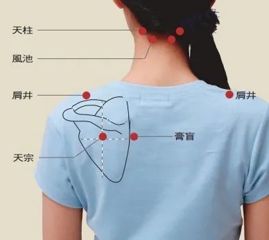 肩胛缝是乳腺的反射区肩颈疏通很重要