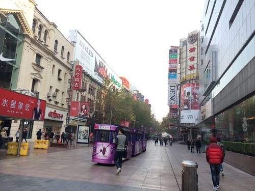 上海的南京路是上海开埠后最早建立的一条商业街.