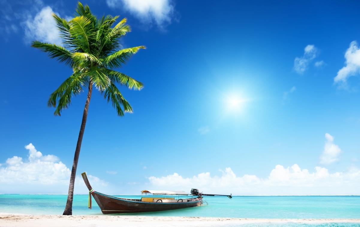 沙子大海沙滩阳光棕榈树海滩船夏季岛屿海洋热带天堂4k风景壁纸